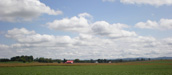 Farm in Field Thumbnail